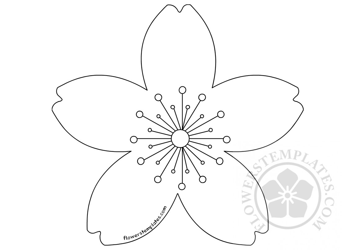 Cherry blossom Flowers Templates