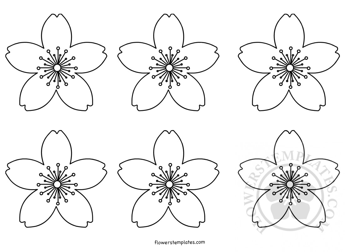 cherryblossoms Flowers Templates