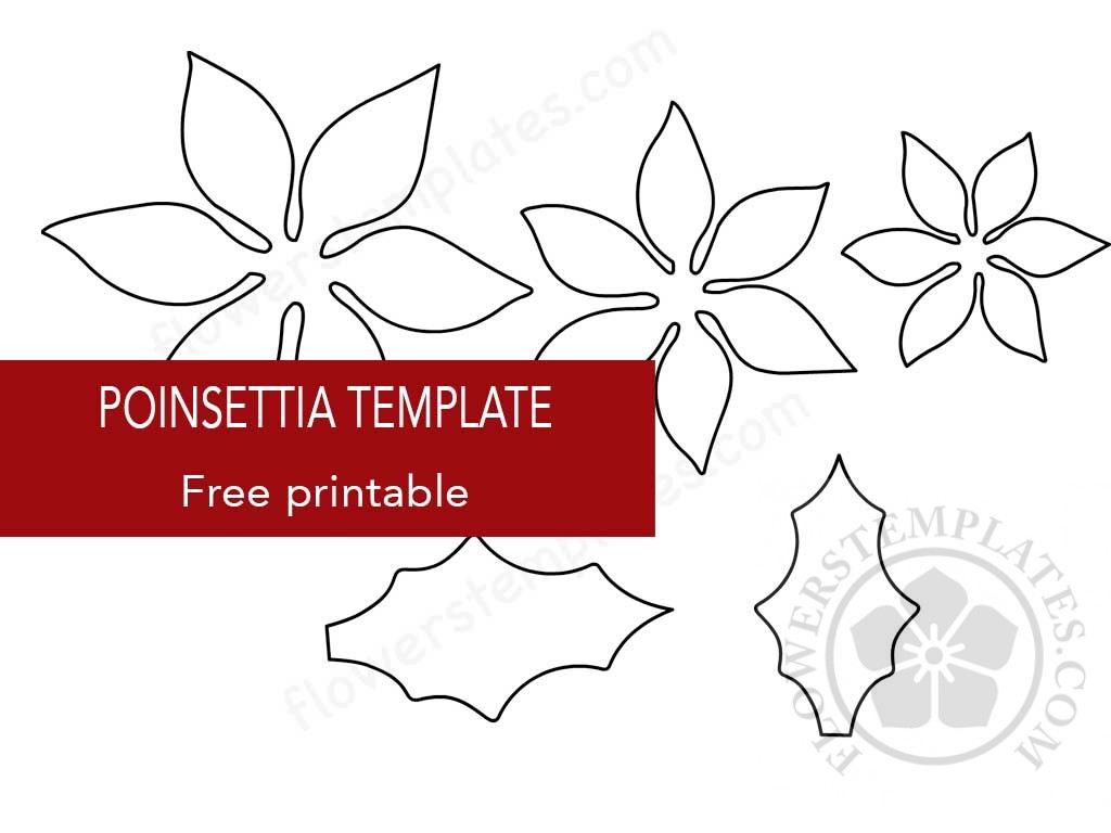 Poinsettia template free Flowers Templates