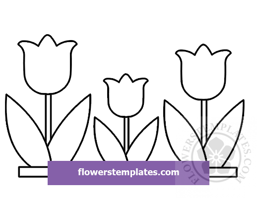 Three-tulips – Flowers Templates