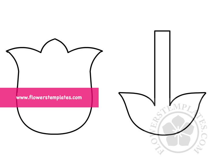 Printable Tulip Craft Template Pdf Flowers Templates